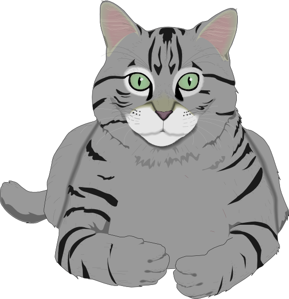 Striped Gray Cat Illustration PNG