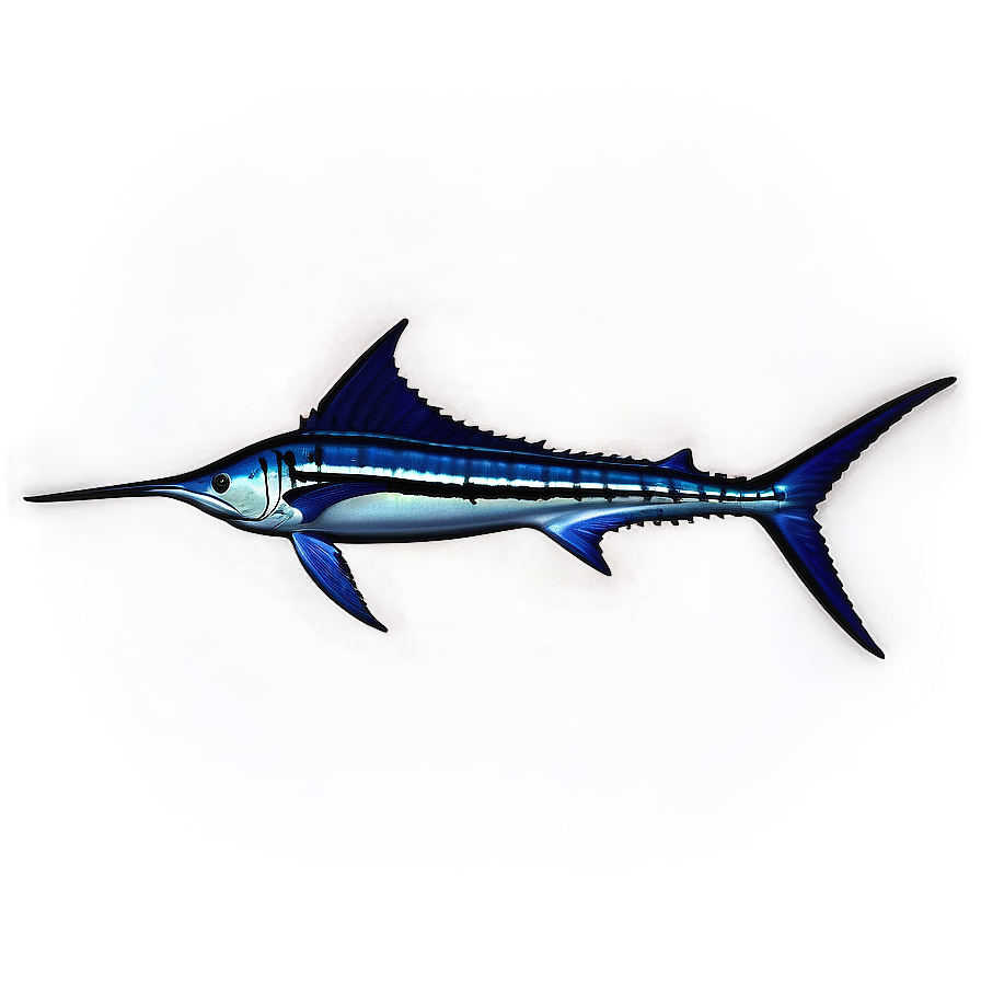 Striped Marlin Png Xjm PNG