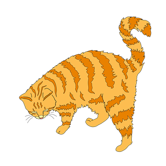 Striped Orange Cat Illustration PNG