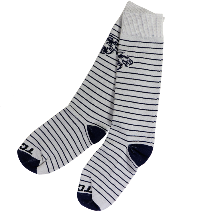 Striped Sockswith Floral Pattern PNG