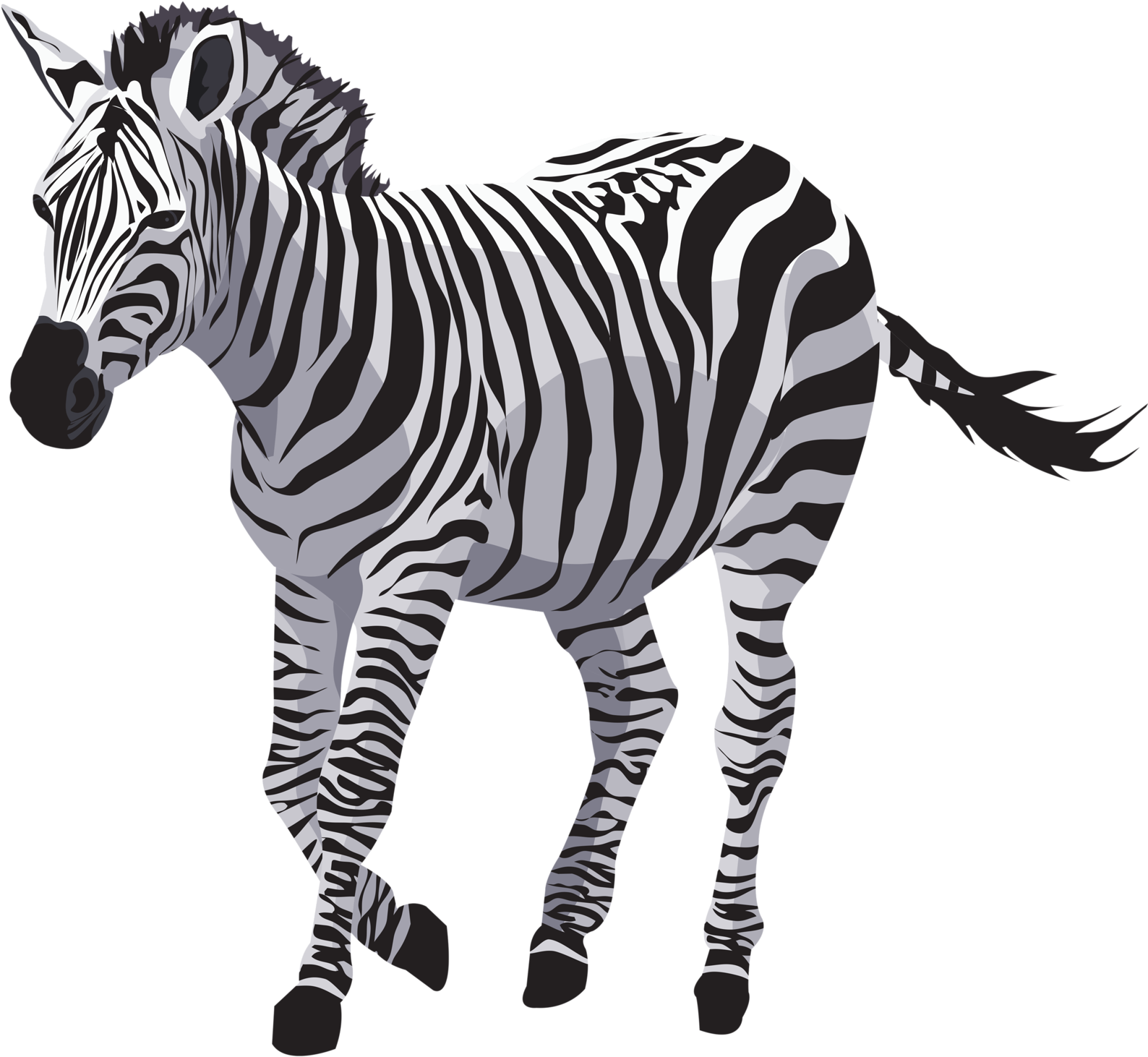 Striped Zebra Illustration PNG