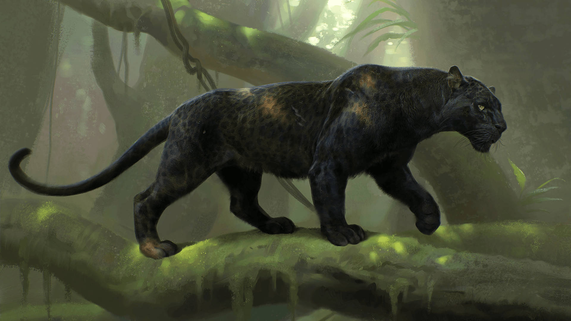 Strong Black Panther Animal Background