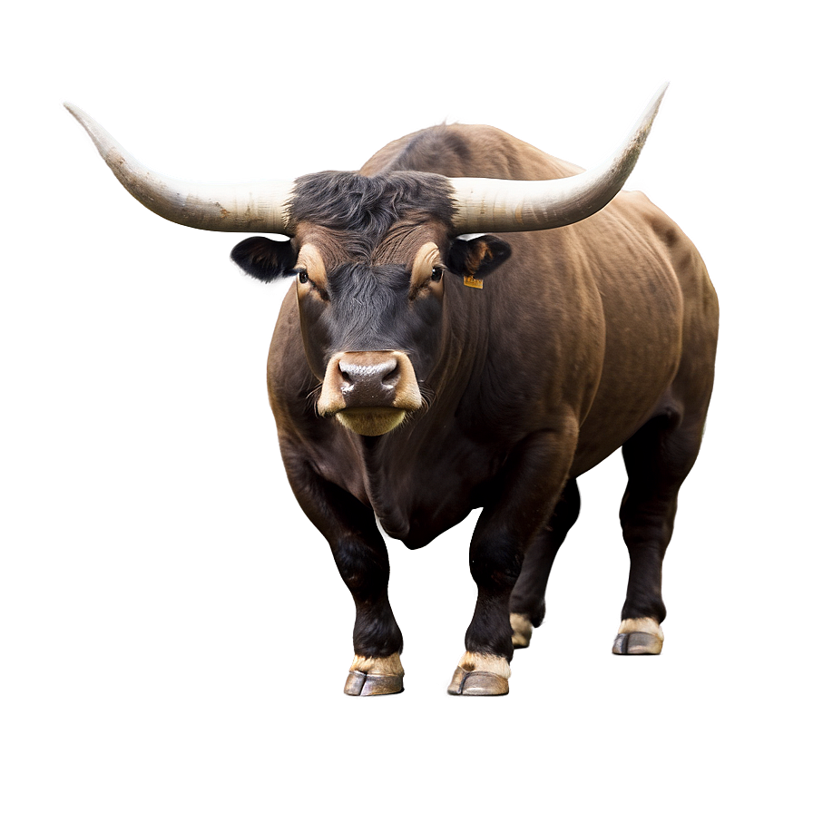 Strong Bull Png 05062024 PNG