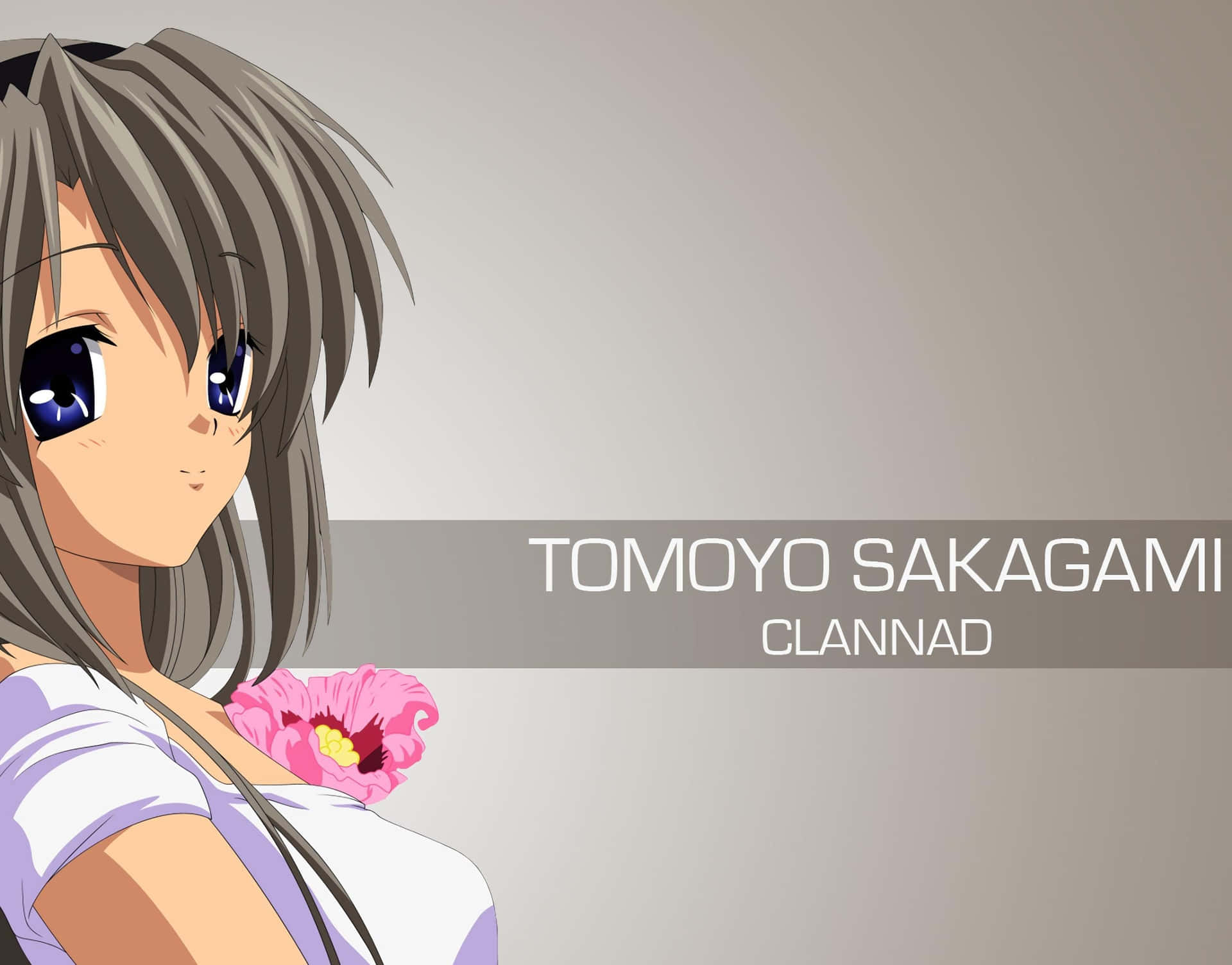 Strong-minded Heroine: A Portrait Of Tomoyo Sakagami Wallpaper