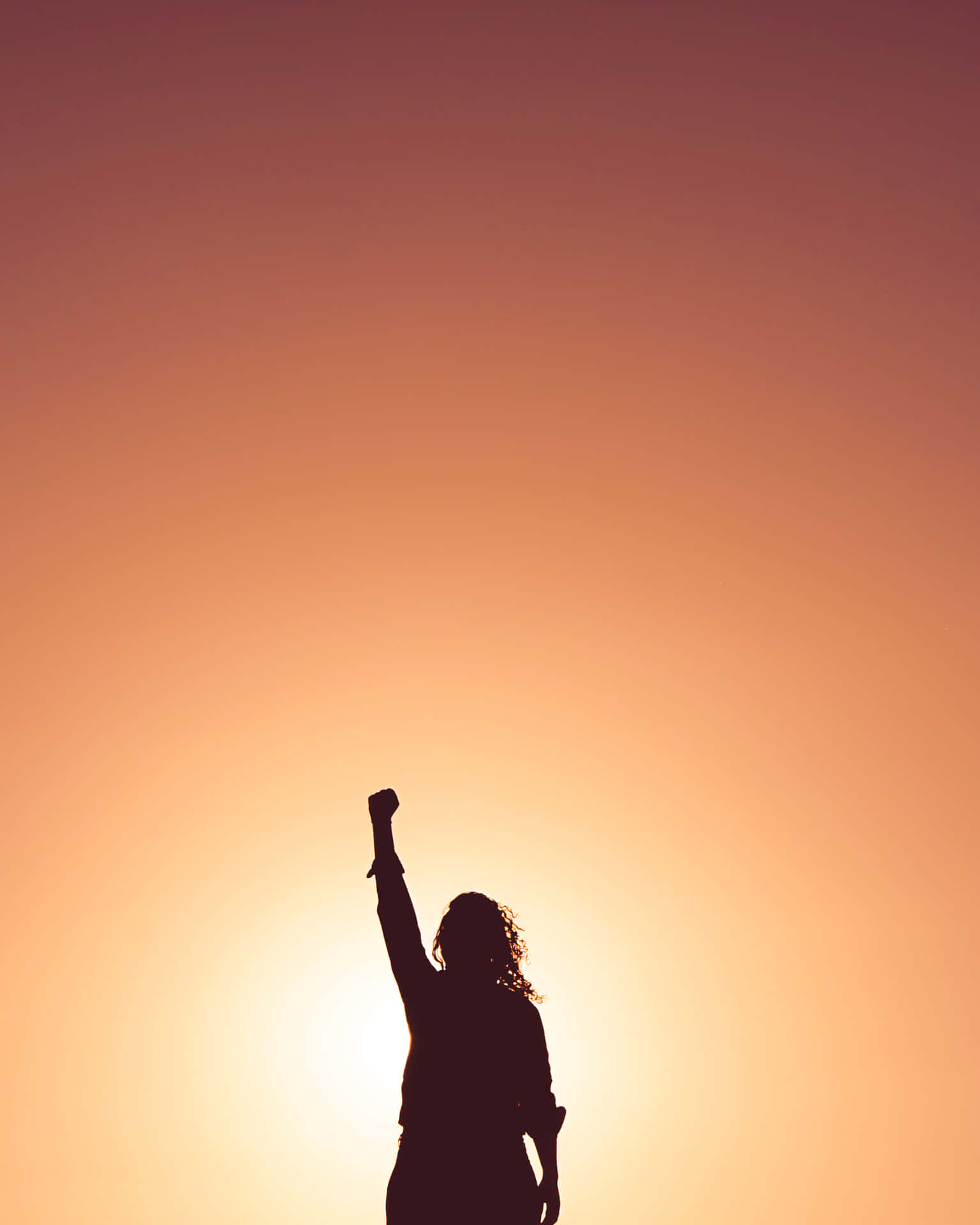 Strong Woman Raised Clenched Fist Silhouette Wallpaper