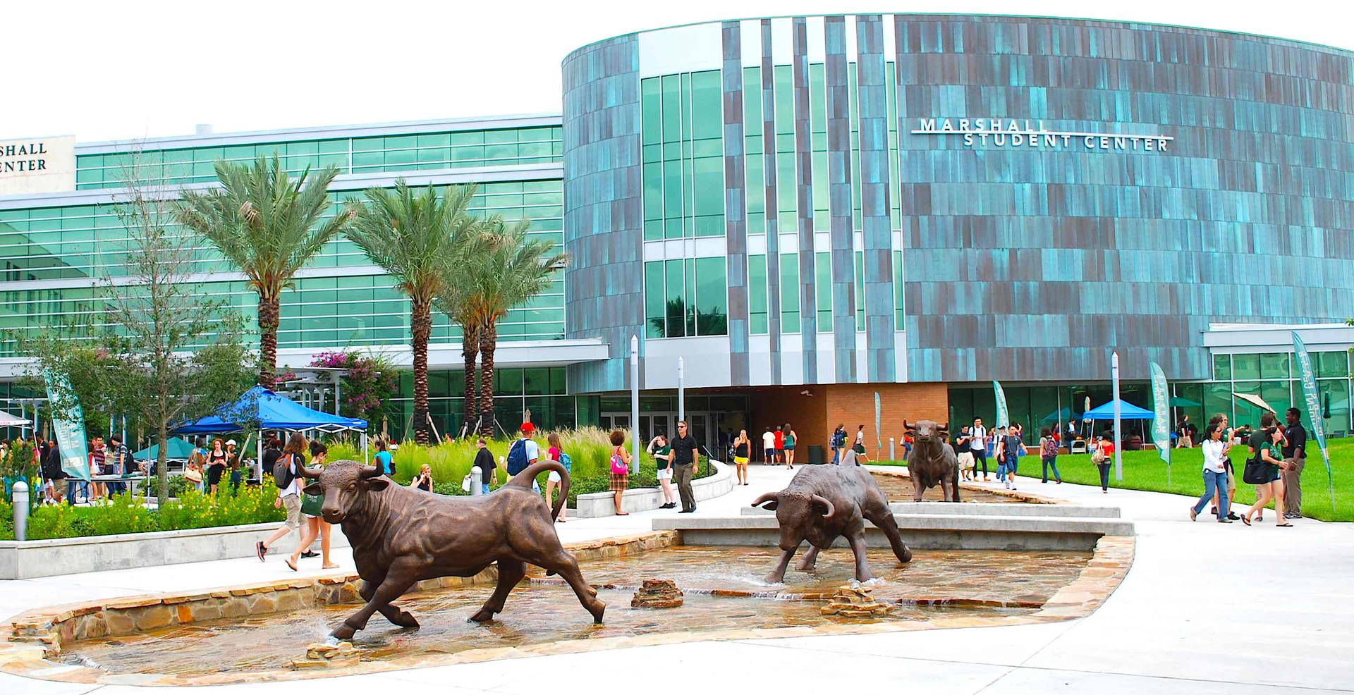 Students In University Of South Florida Campus Wallpaper