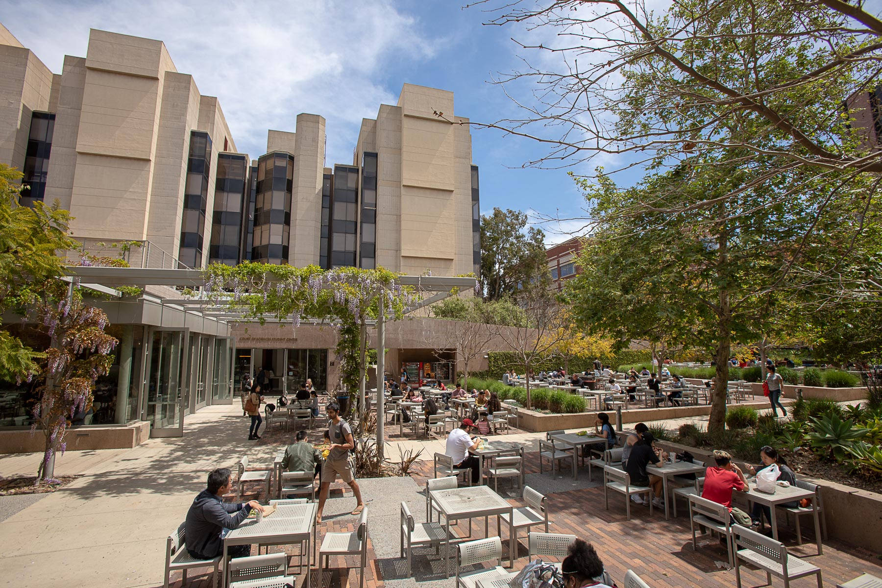 Studerende slapper ud udendørs på UCLA Wallpaper