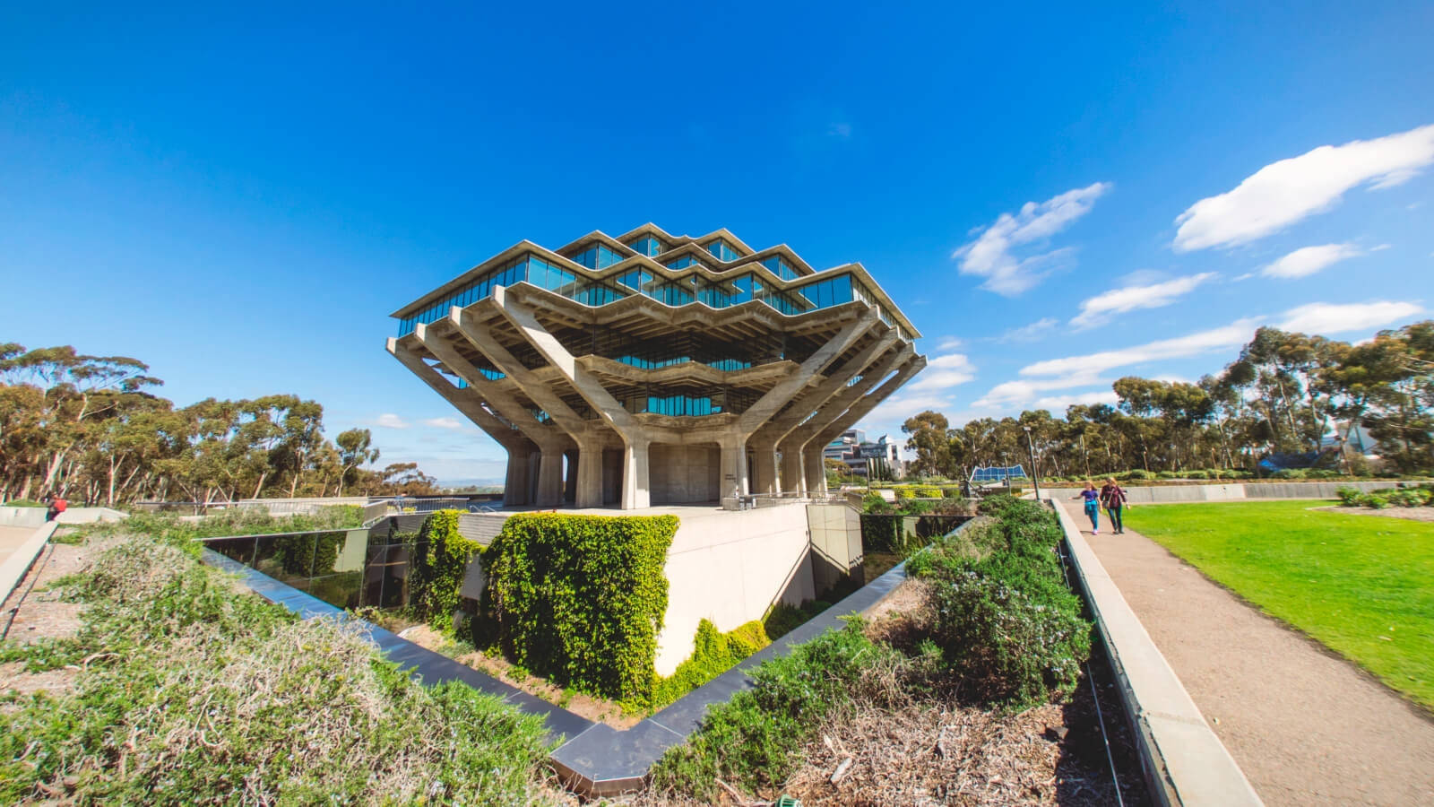 Students Pathway Ucsd Wallpaper