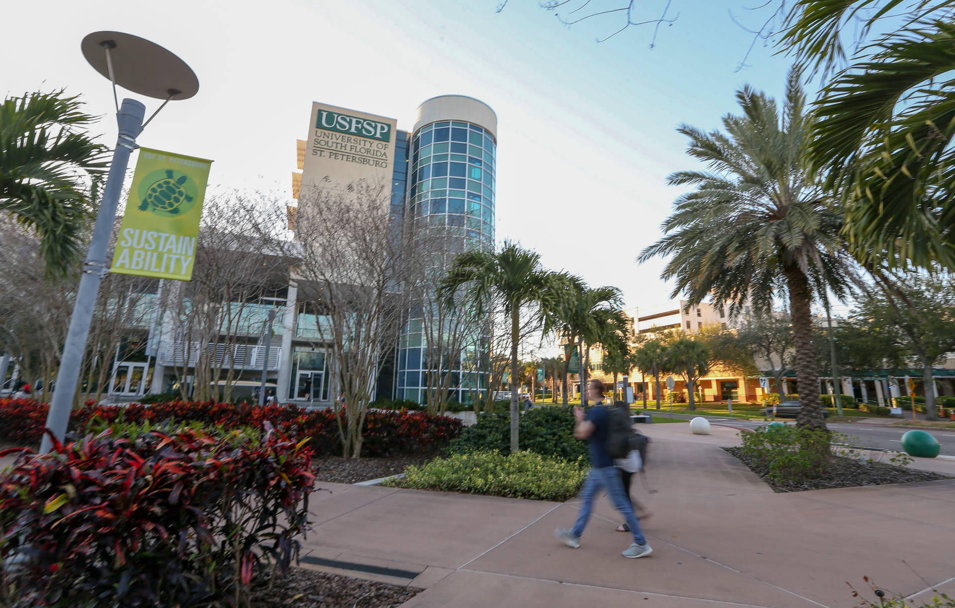 Studentiche Camminano Nel Campus Dell'università Della Florida Del Sud Sfondo