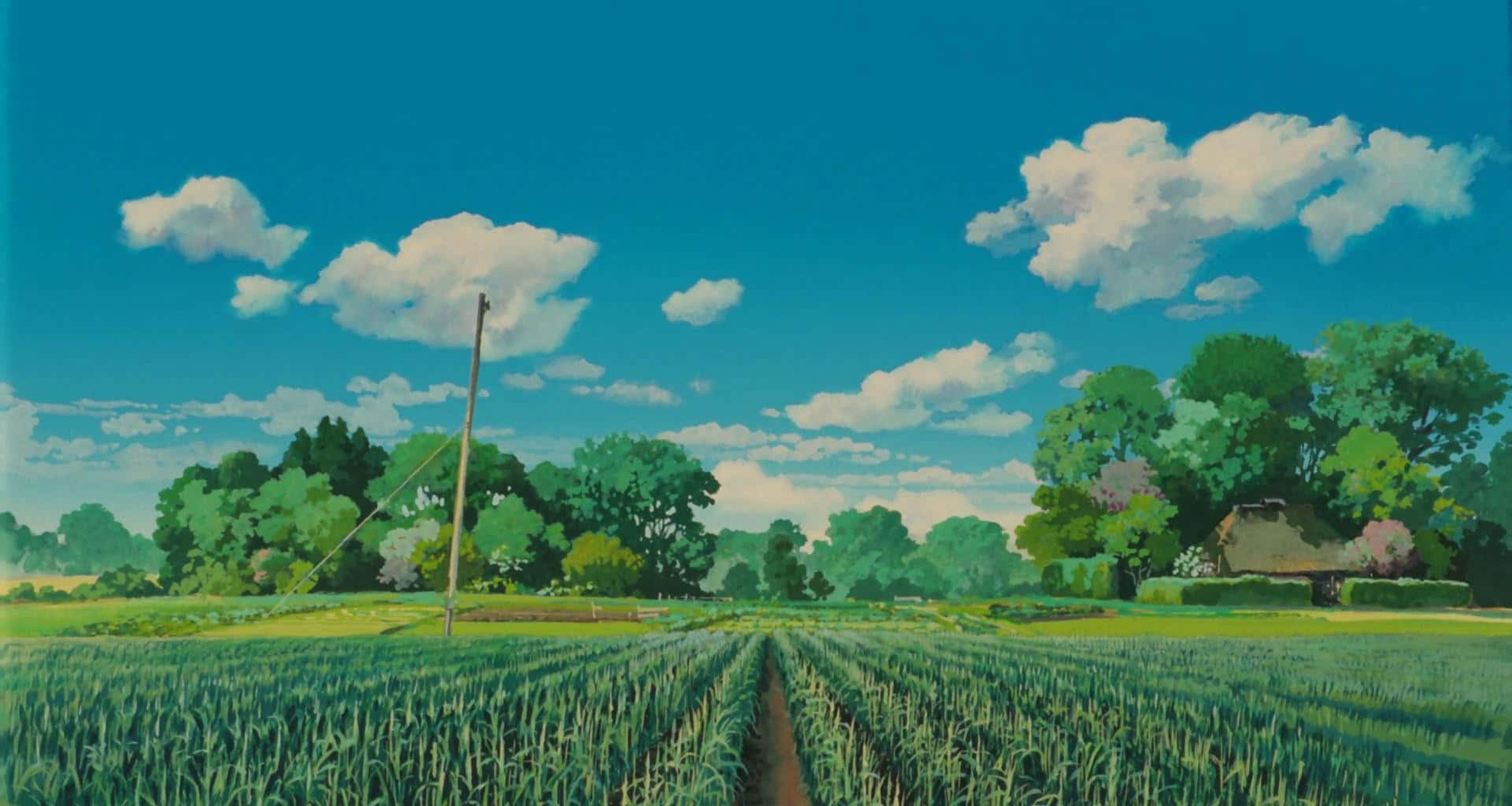 En maleri af et felt med træer og skyer Wallpaper