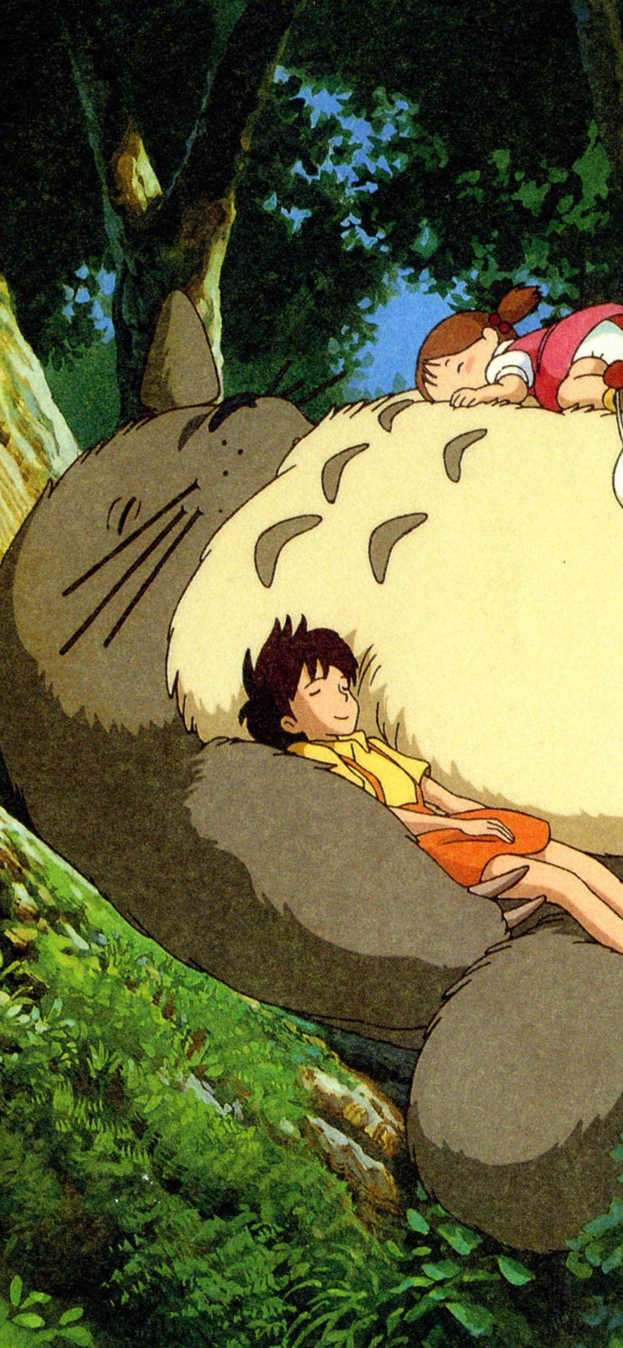 Kallapå Studio Ghiblis Andar Med Denna Iphone Bakgrundsbild! Wallpaper