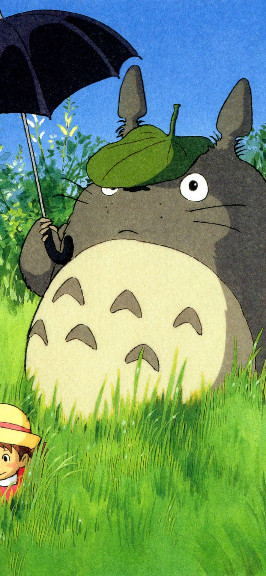 Bildnjut Av Klassiska Studio Ghibli-filmer På Din Telefon. Wallpaper