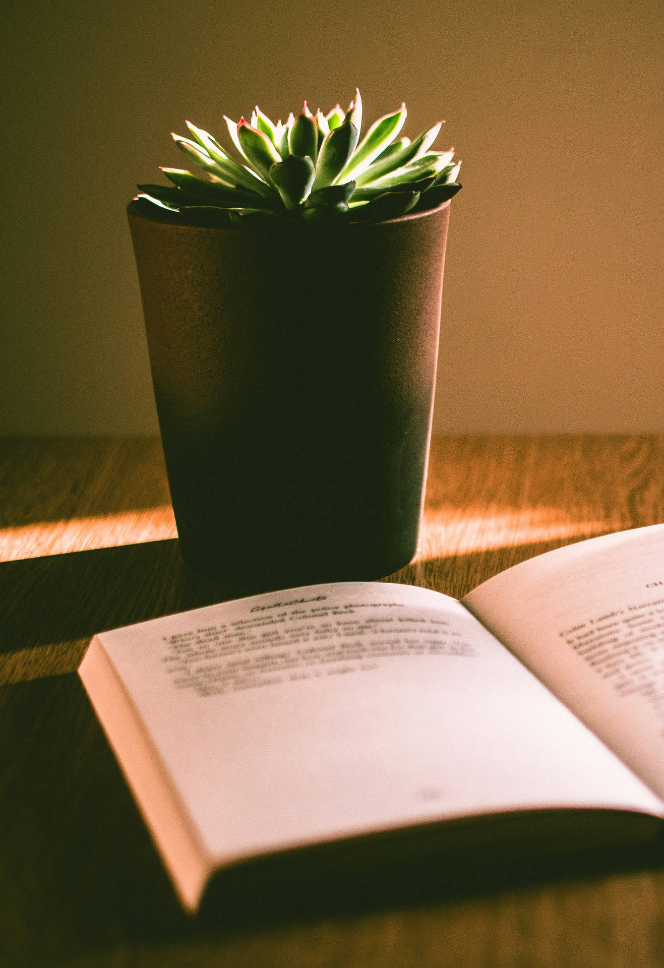 Study Motivation Book And Potted Plant Wallpaper