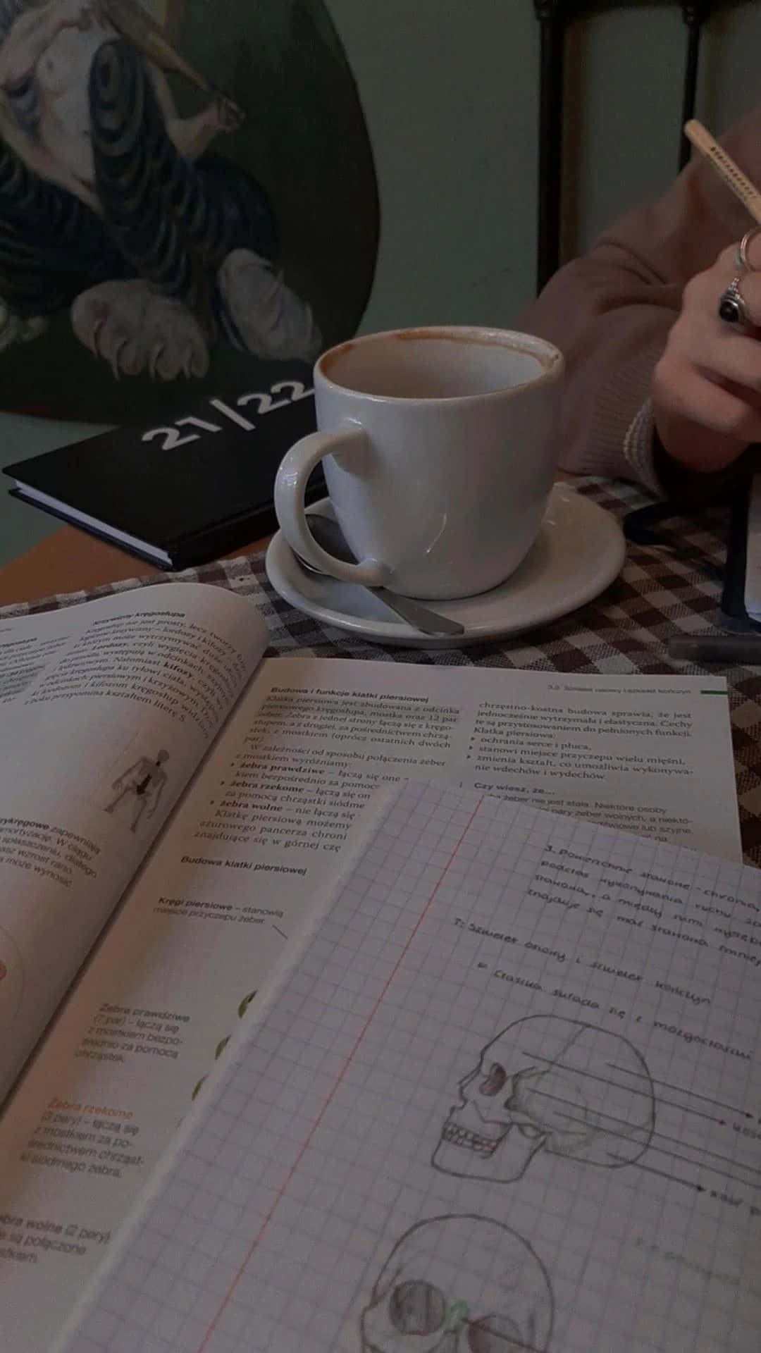Studying Anatomy With Coffee.jpg Wallpaper