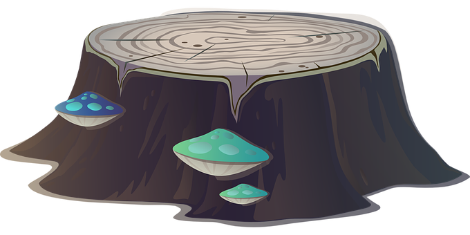 Stump_with_ Mushrooms_ Illustration PNG