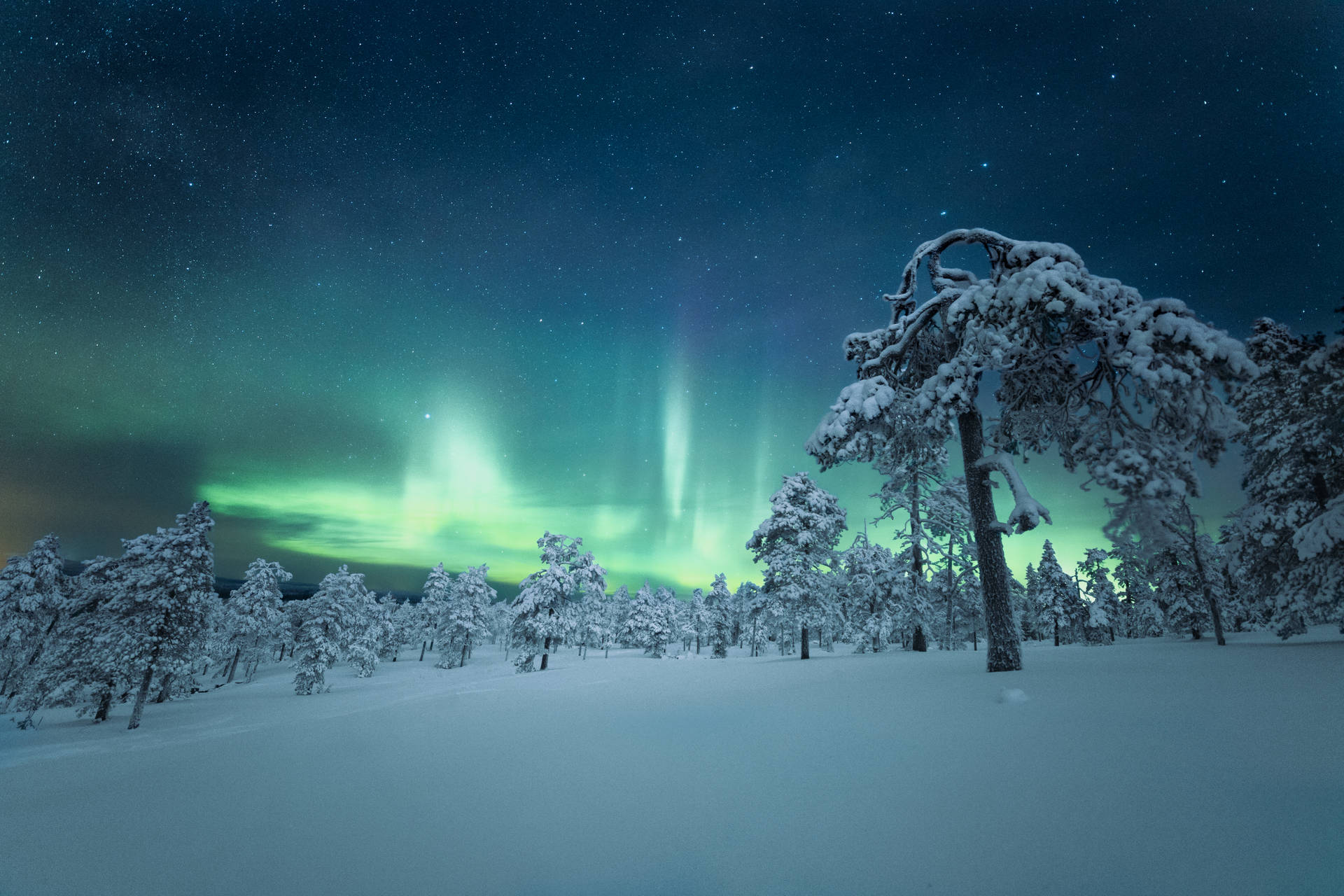 Stunning Aurora Borealis Of Finland