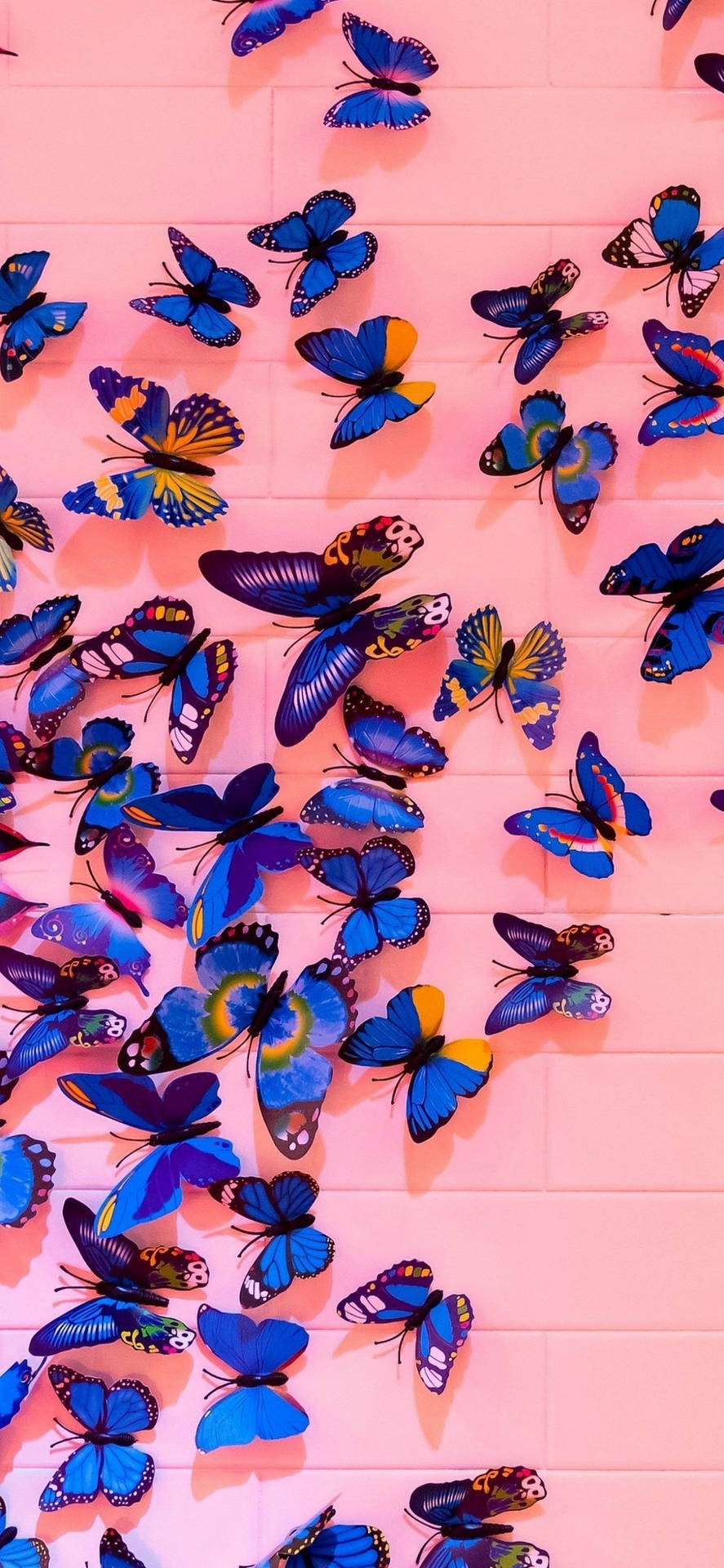 Stunning Butterfly Iphone Lock Screen Wallpaper