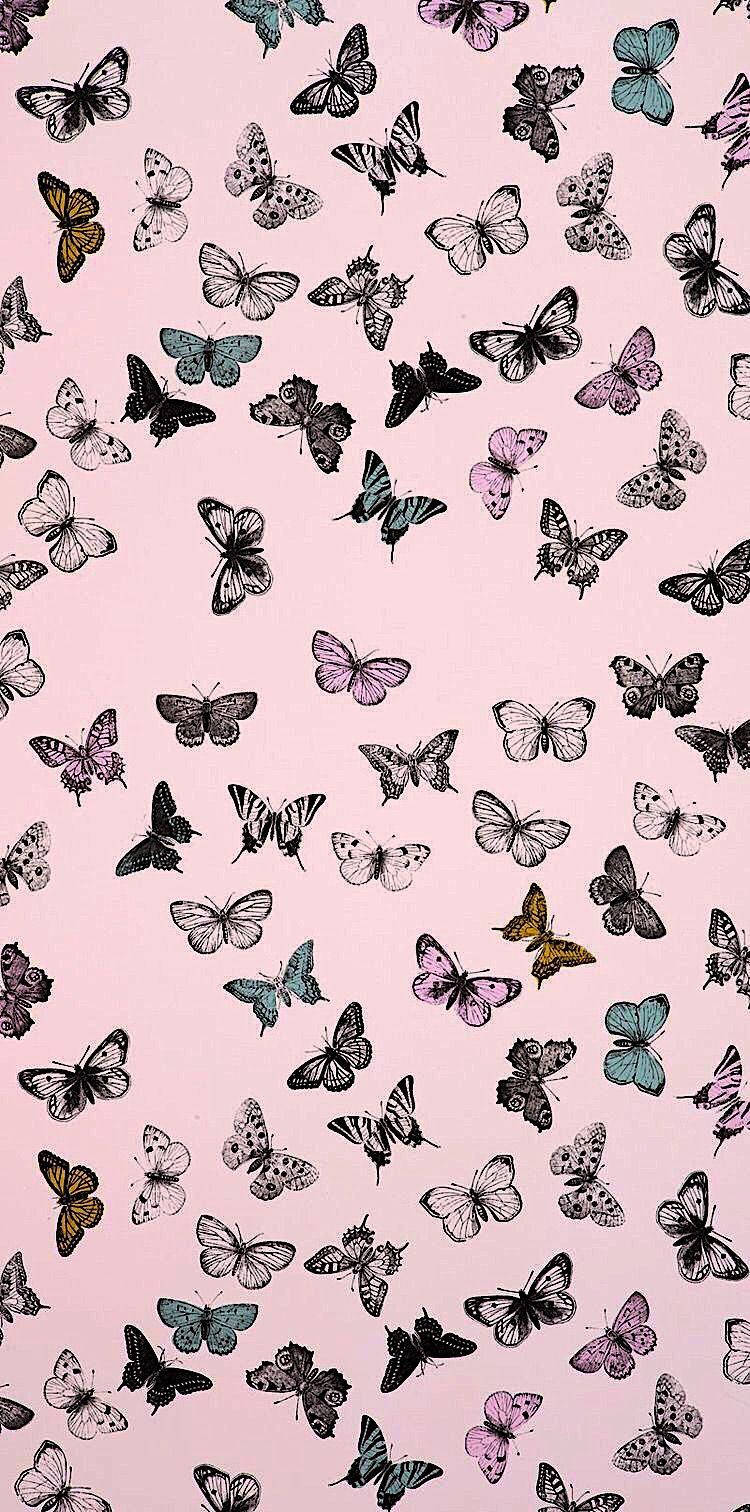 Æstetisk Butterfly Iphone Skærm Visning. Wallpaper