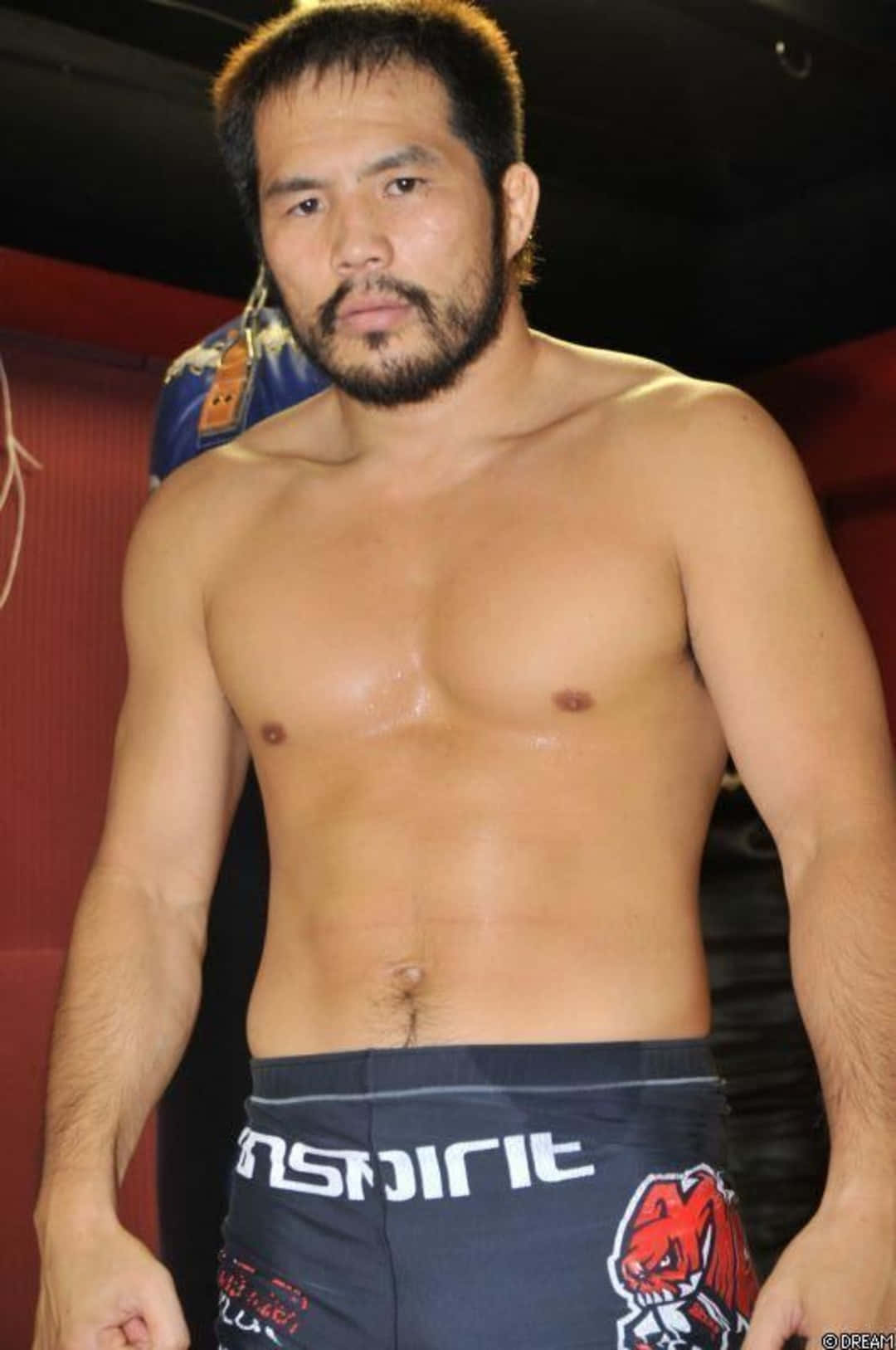 Få øje på det slående japanske MMA-udøver Hayato Sakurai i træningscentret. Wallpaper