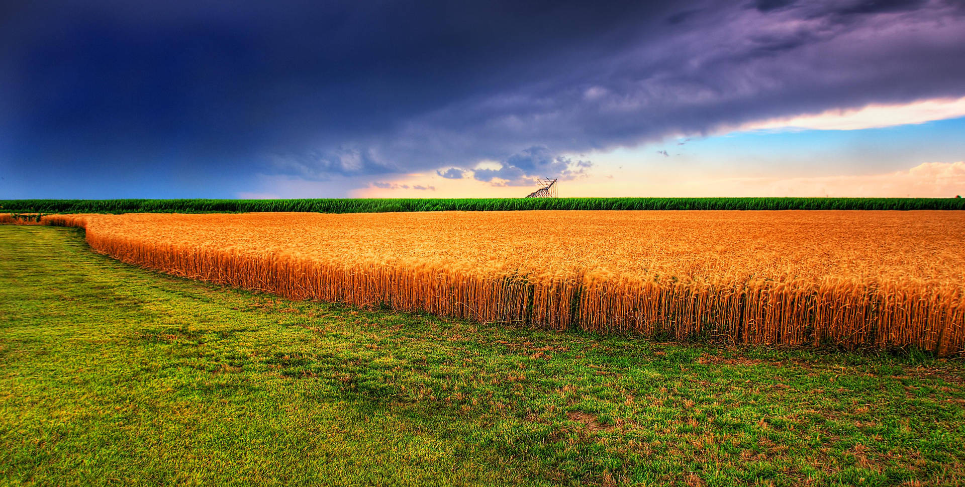 Kansas Wheat Field. Wallpaper
