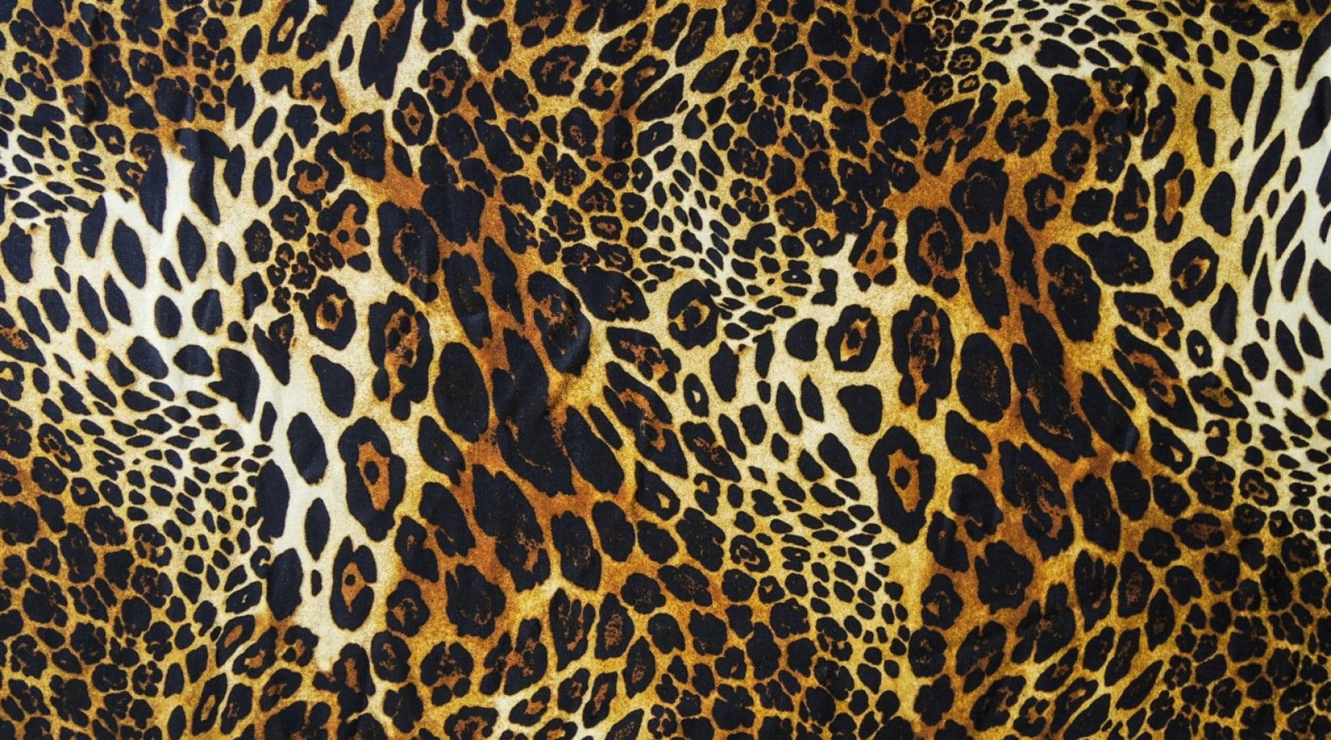 Stunning Landscape Cute Leopard Print Wallpaper