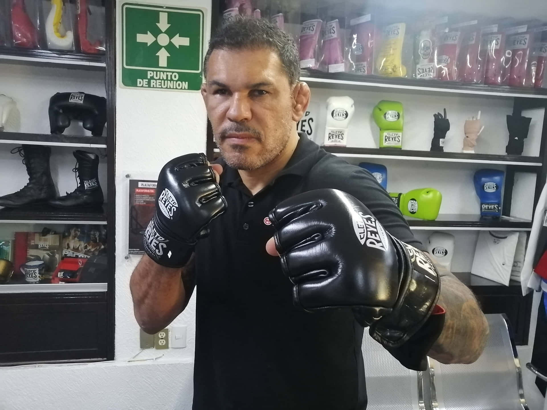 Stunning MMA Fighter Antonio Rogerio Nogueira Fighting Pose Wallpaper