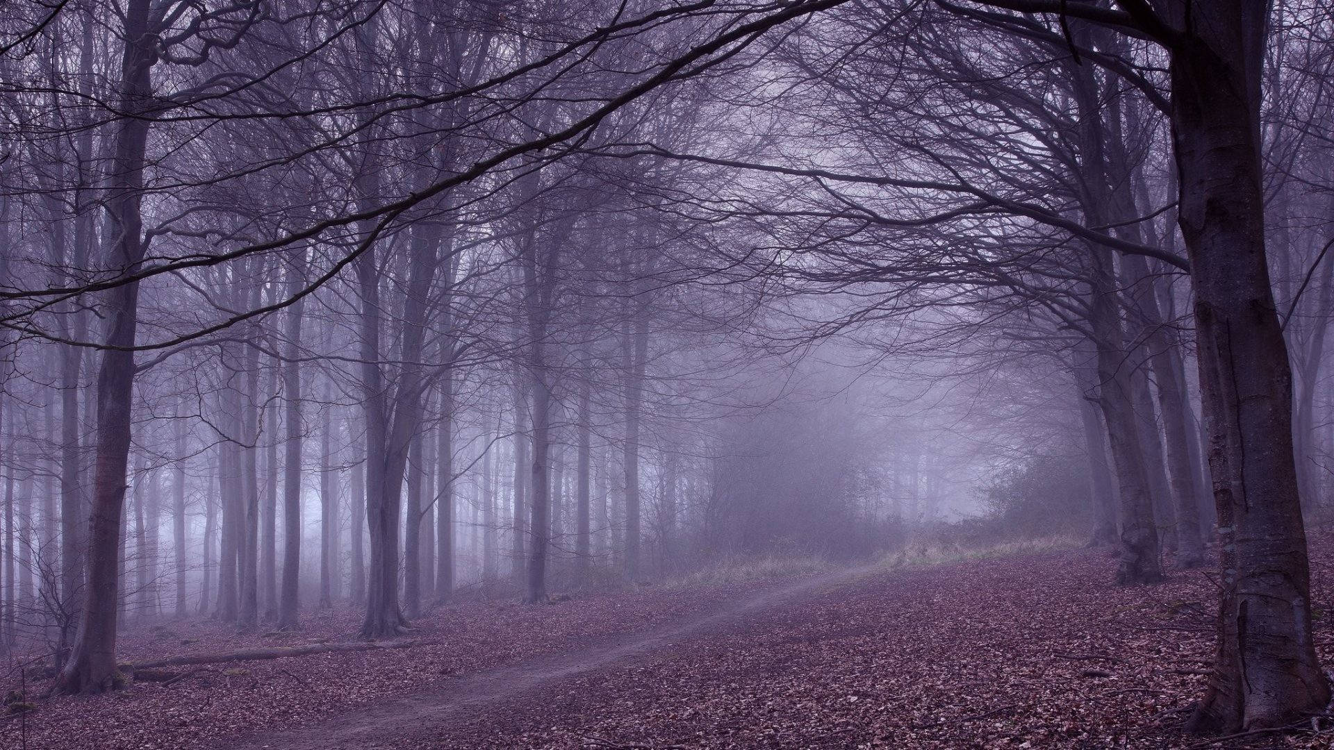 Adembenemende Bergtoppen Onder Sterrenstof Lucht Achtergrond