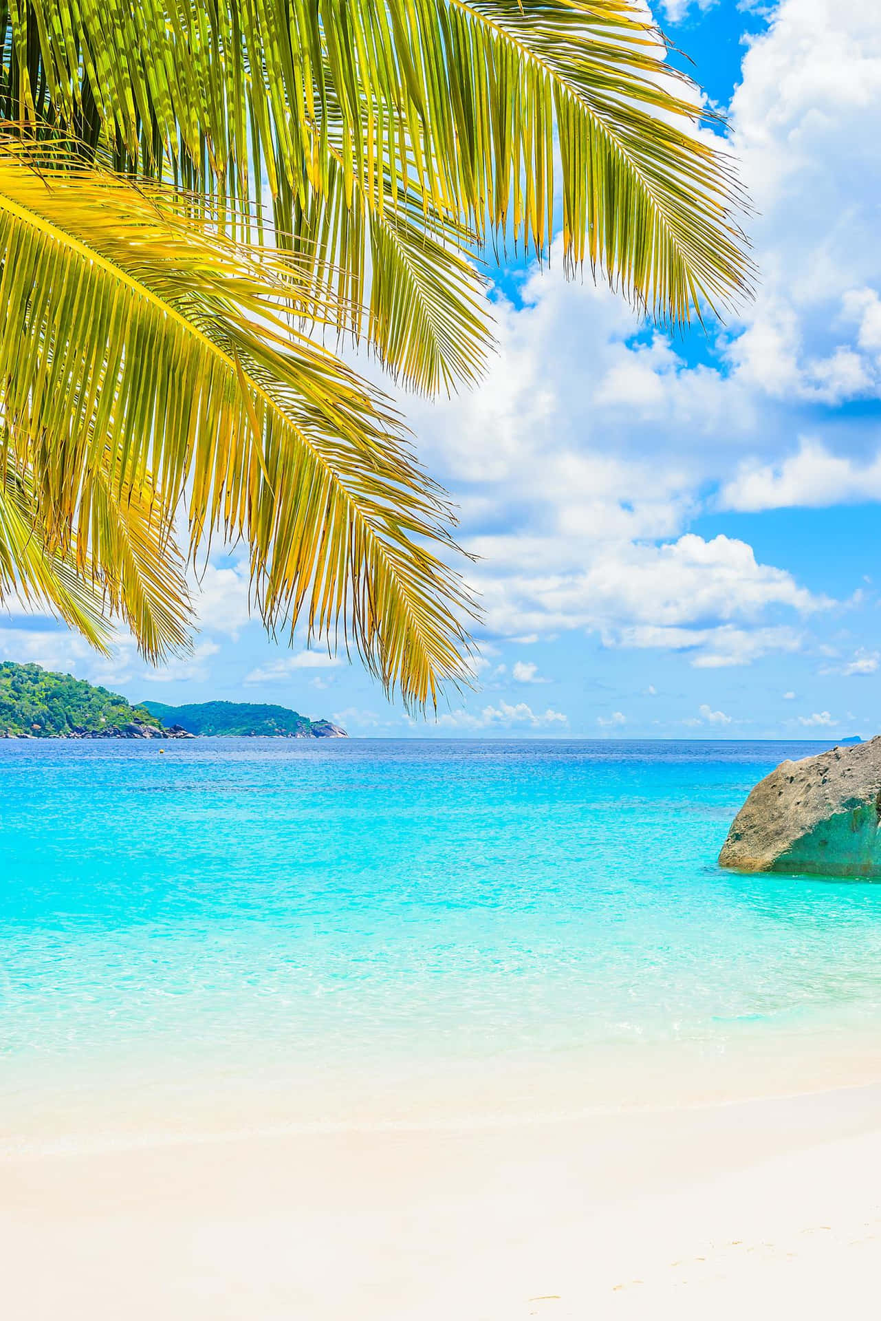 Stunning Panorama Of A Pristine Beach