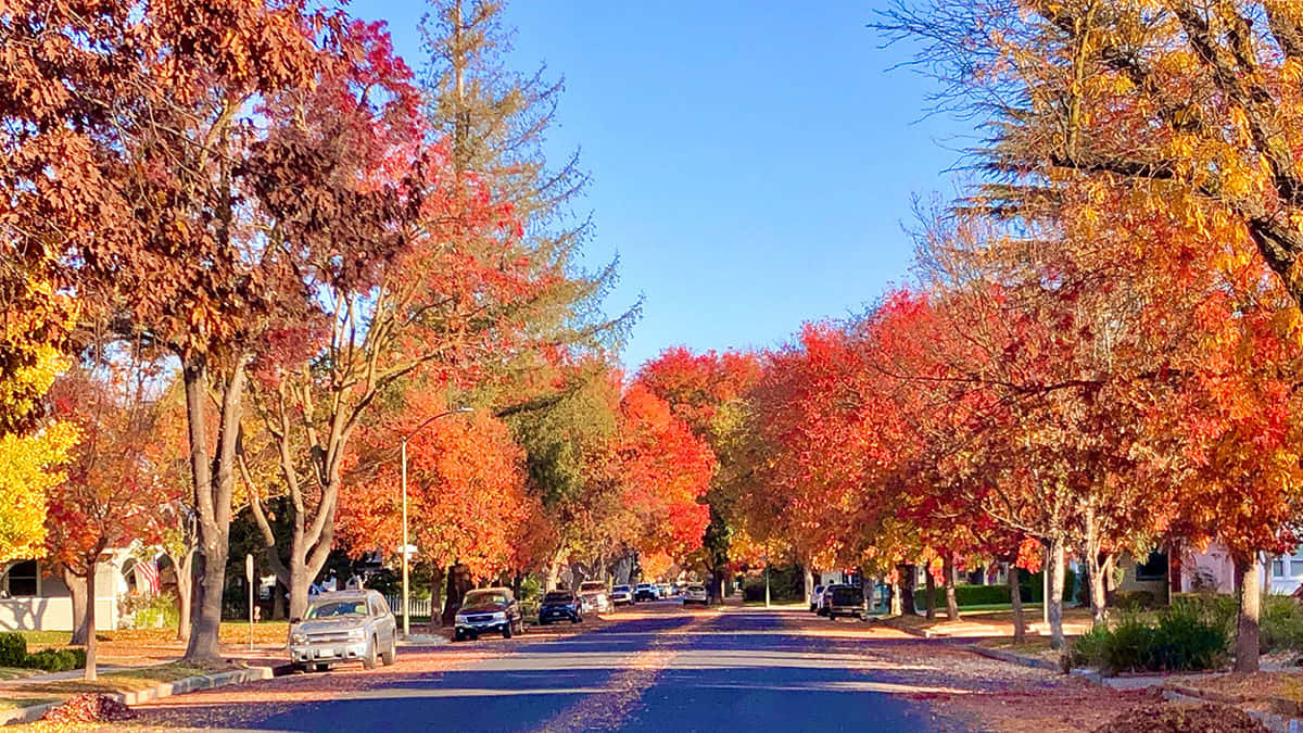 Stunning Panoramic View Of Modesto City Skyline Wallpaper