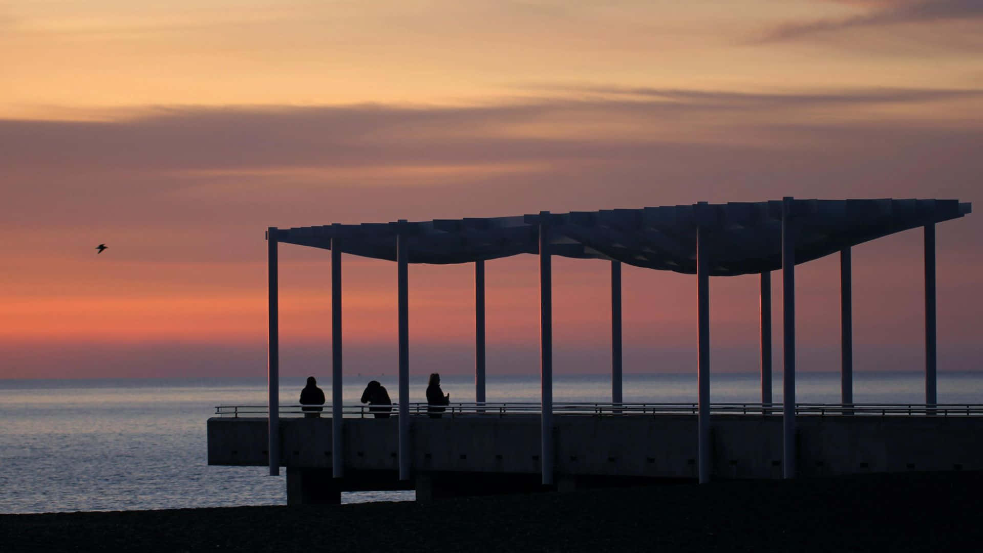 Stunning Sunset Over Napier Beach, New Zealand Wallpaper