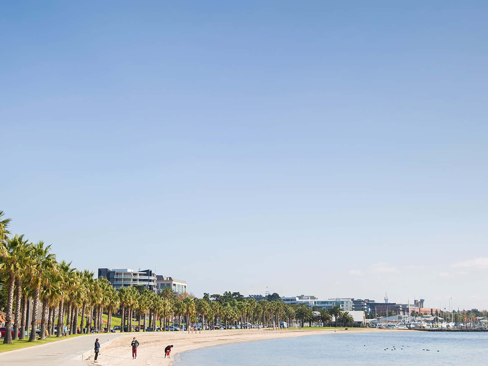 Stunning View Of (landmark/building) In Geelong Wallpaper