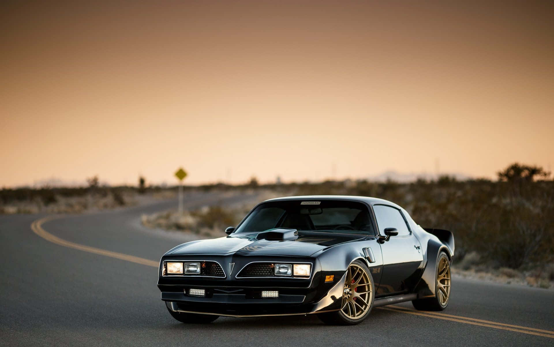 Stunning Vintage Pontiac Firebird Expressive Detail Wallpaper