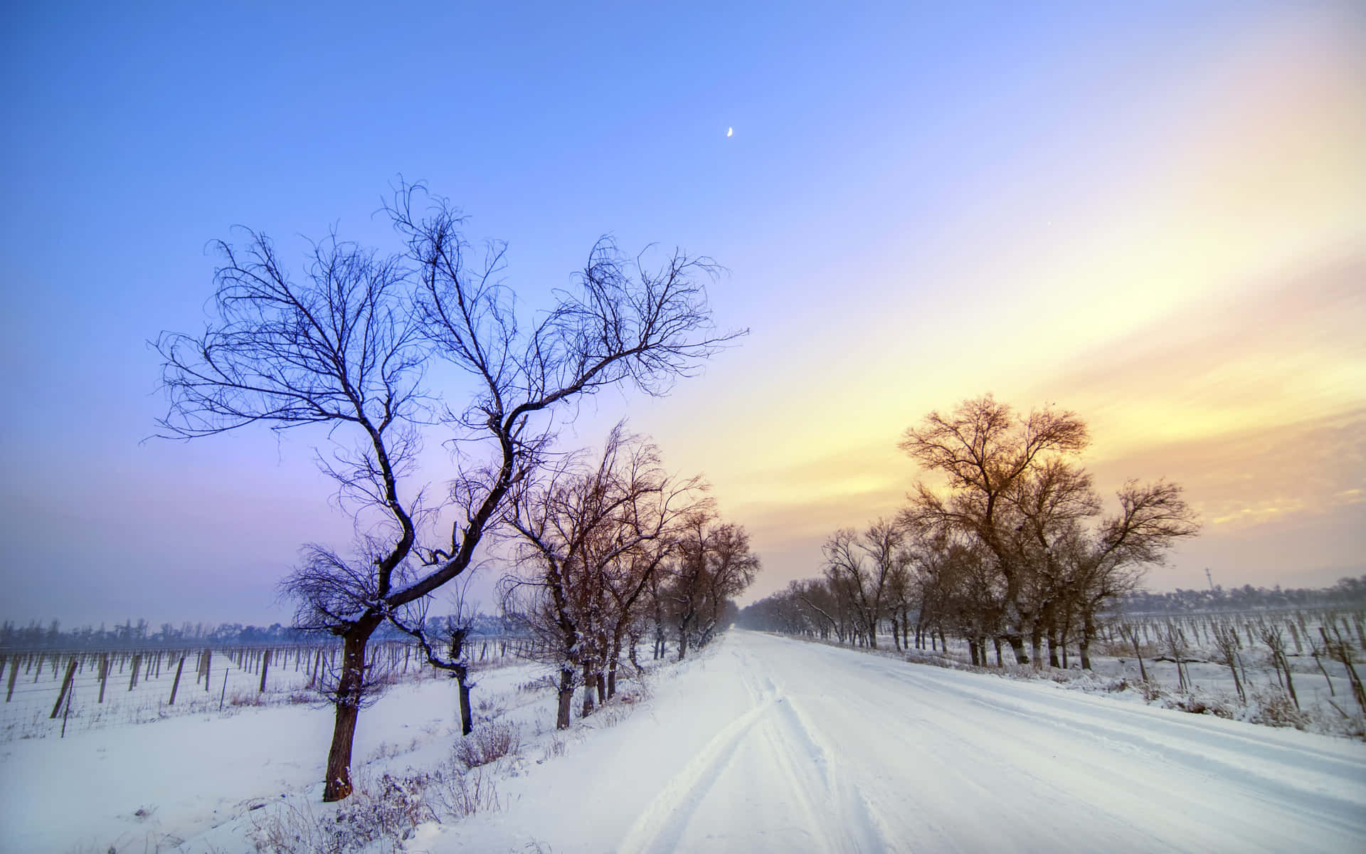 Stunning Winter Landscape Of Snowy Road Wallpaper