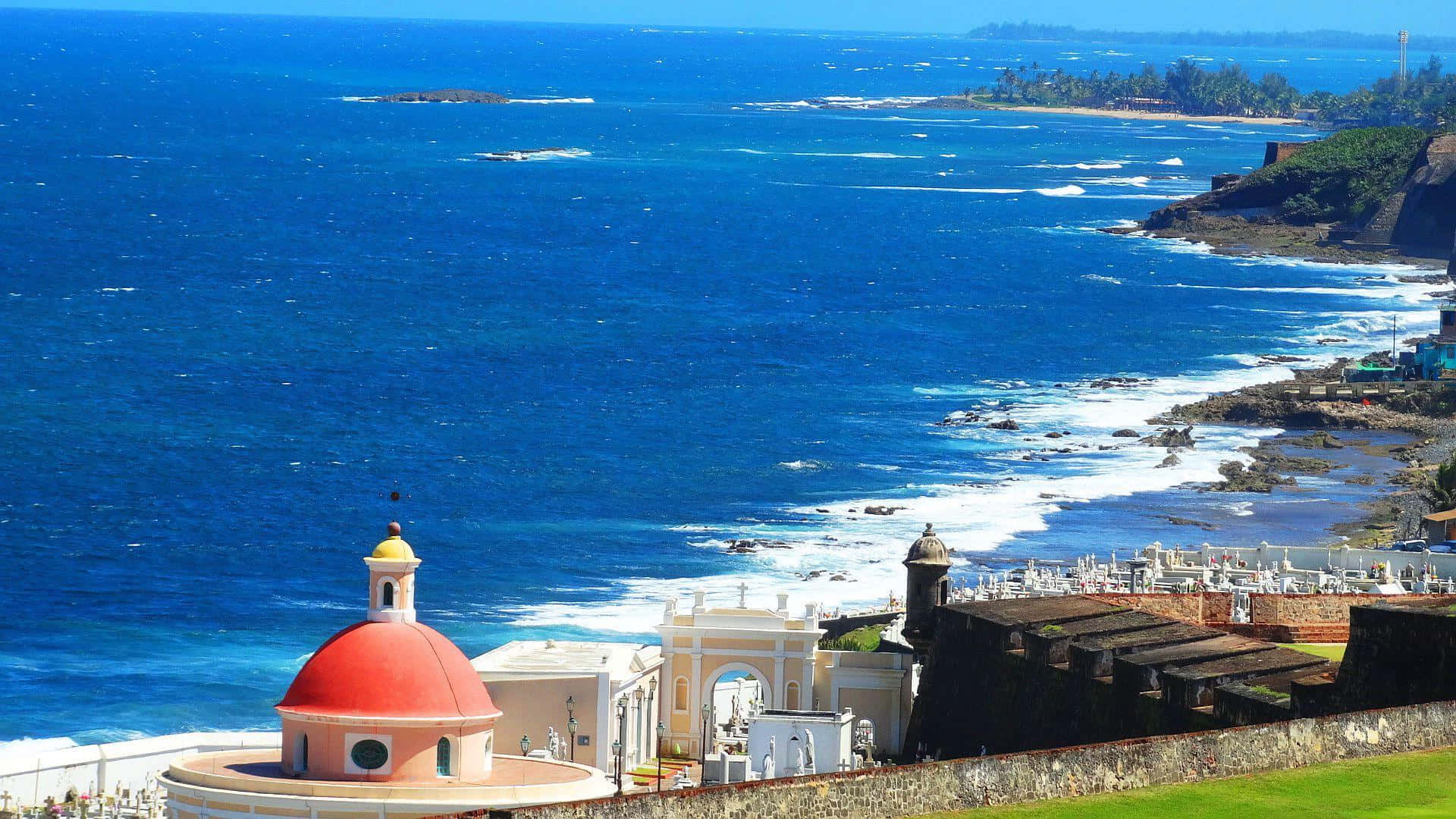 Stupendacosta A Puerto Rico