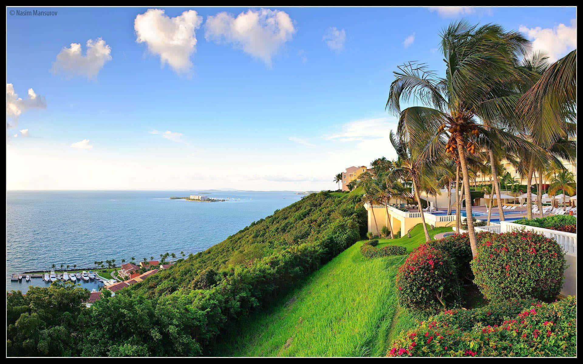 Stupendavista Aerea Della Costa Di Puerto Rico