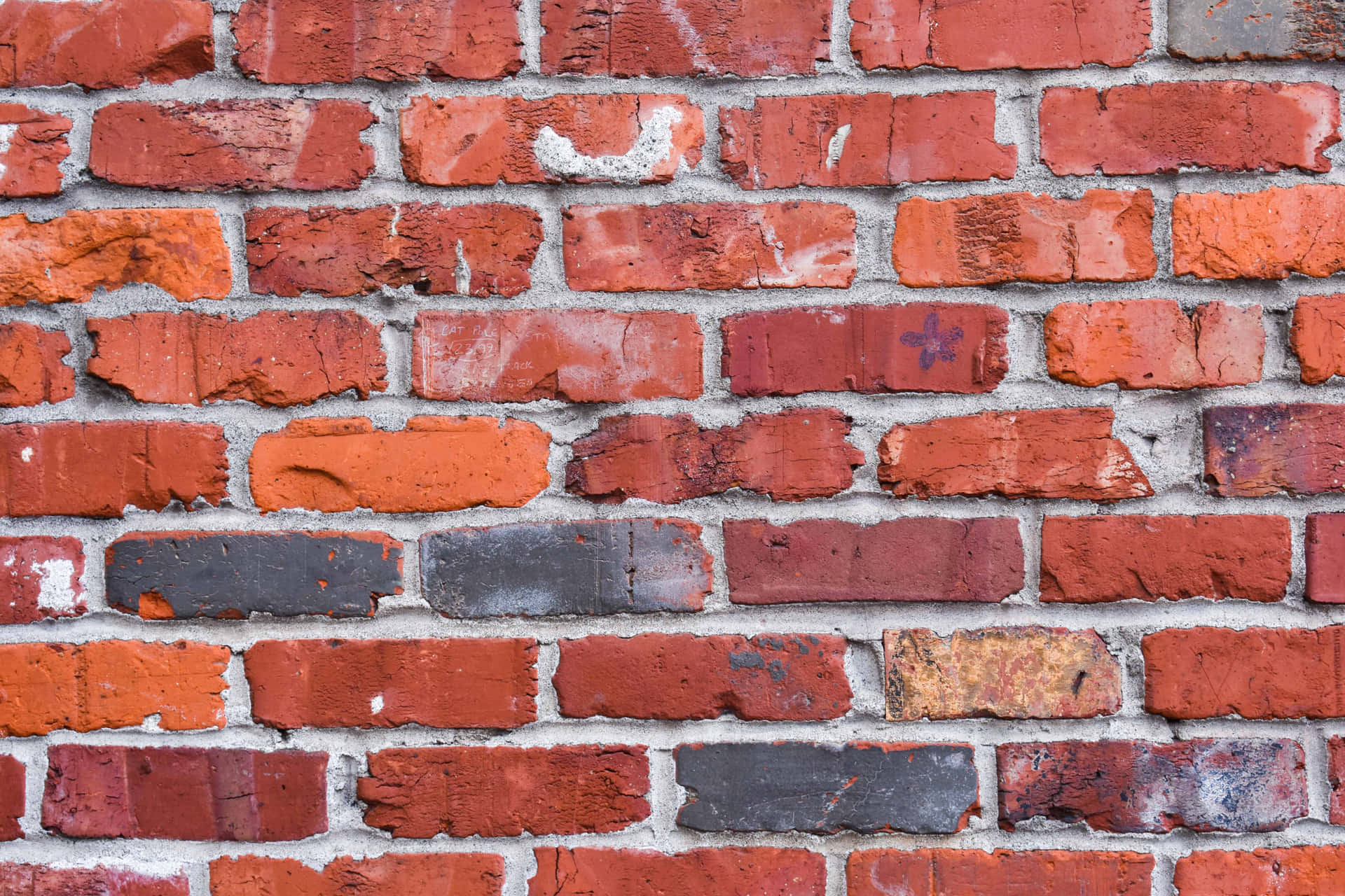 Sturdy Aesthetic: Red Brick Wall Texture