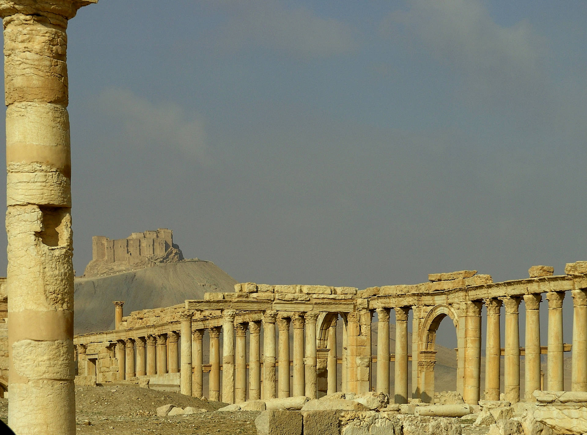 Sturdy Pillars Of The Roman Ruins, Palmyra Wallpaper