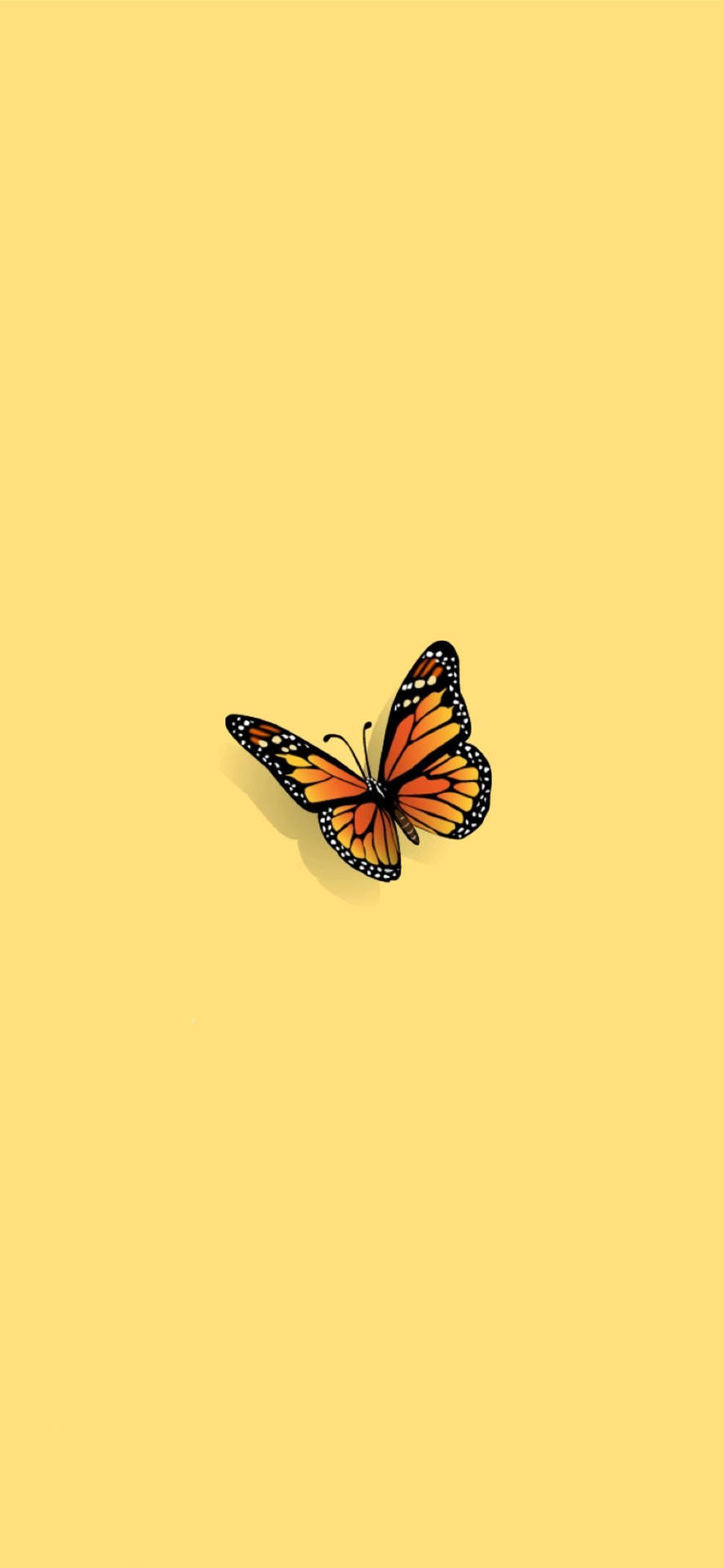 Stylish Butterfly Iphone Screen Background Wallpaper
