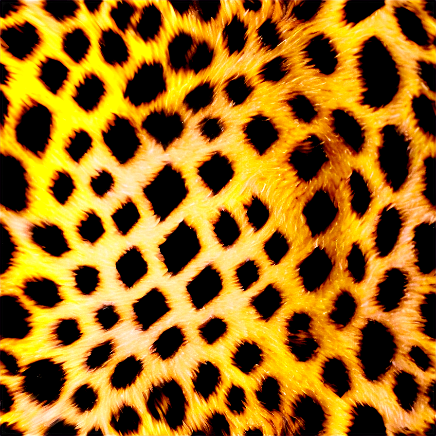 Stylish Cheetah Print Graphics Png Iod PNG