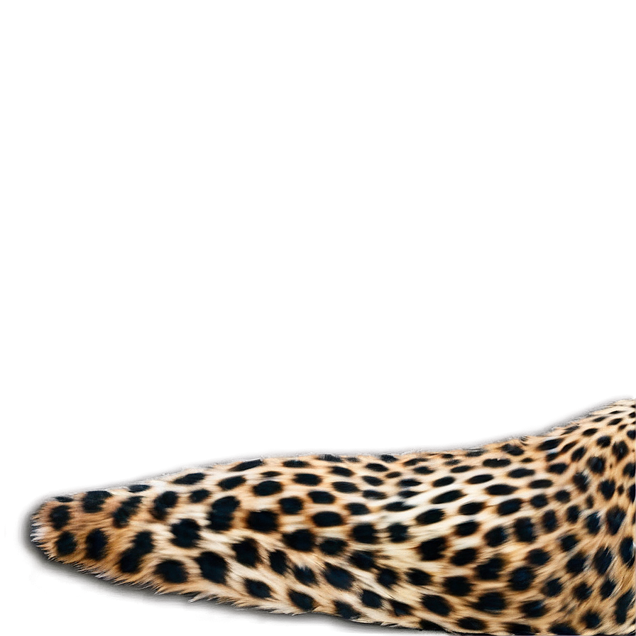 Stylish Cheetah Print Graphics Png Yky PNG