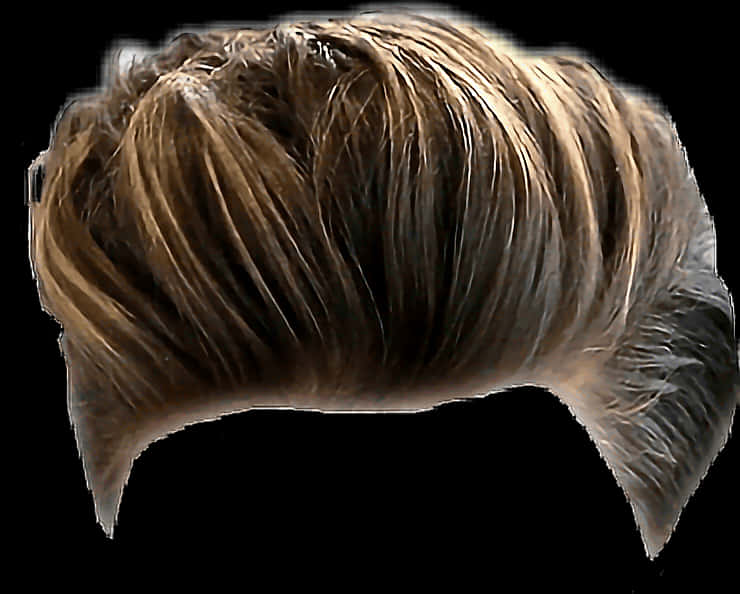 Stylish Mens Hairstyle P N G PNG