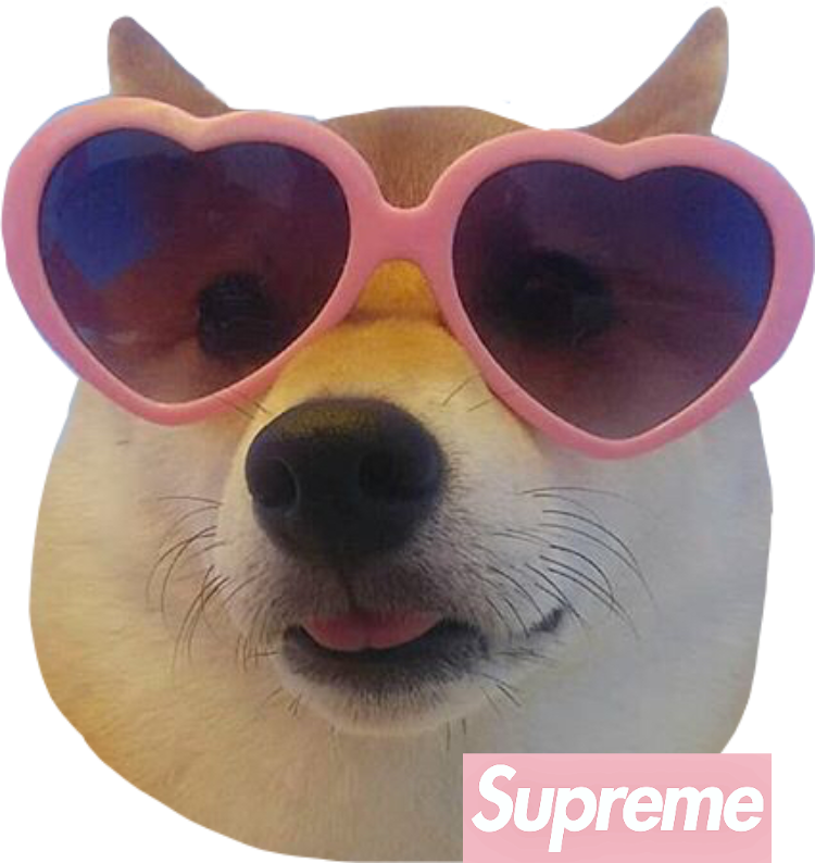 Stylish Shiba Inuwith Heart Shaped Sunglasses PNG