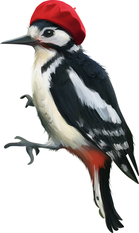 Stylish Woodpecker Red Hat PNG