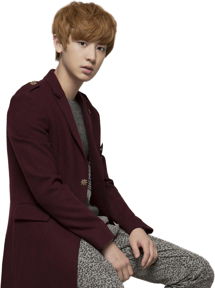 Stylish_ Maroon_ Blazer_and_ Leopard_ Pants PNG