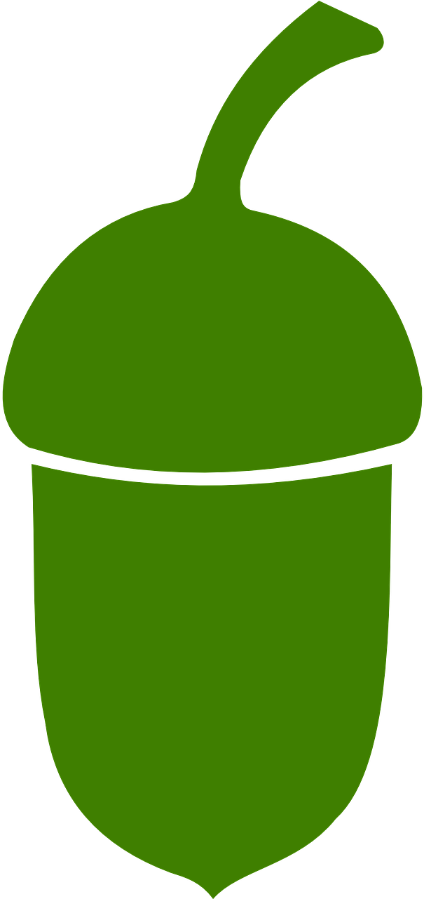 Stylized Acorn Icon PNG