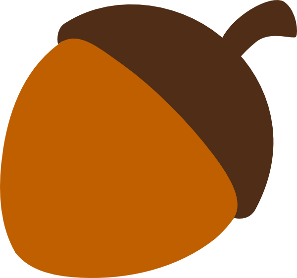 Stylized Acorn Illustration PNG