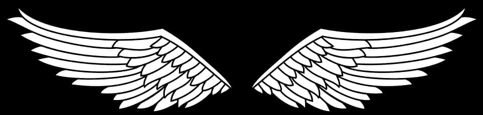 Stylized Angel Wings Vector PNG