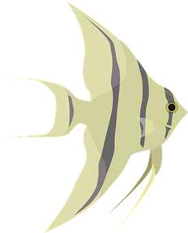 Stylized Angelfish Illustration PNG