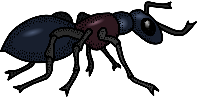 Stylized Ant Illustration PNG