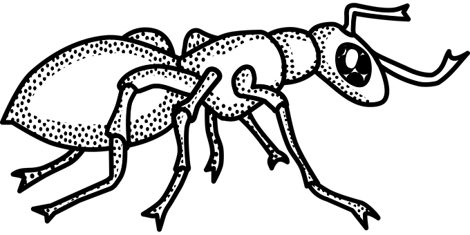 Stylized Ant Illustration PNG